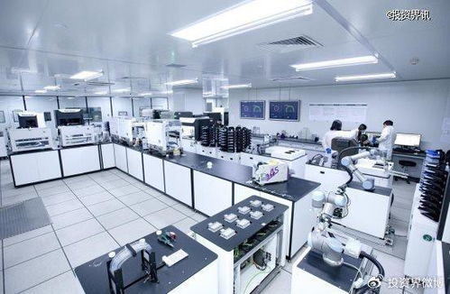 博瑞迪完成2.5億元B輪融資，專注生物育種技術服務，引領農業(yè)科技新浪潮