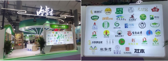 呼和浩特林草產品亮相世界舞臺，技術交流引領綠色發展新風尚